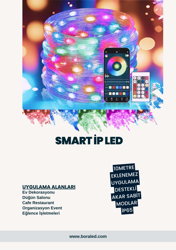 RÜYA RENKLER 10MT İP LED PİKSEL